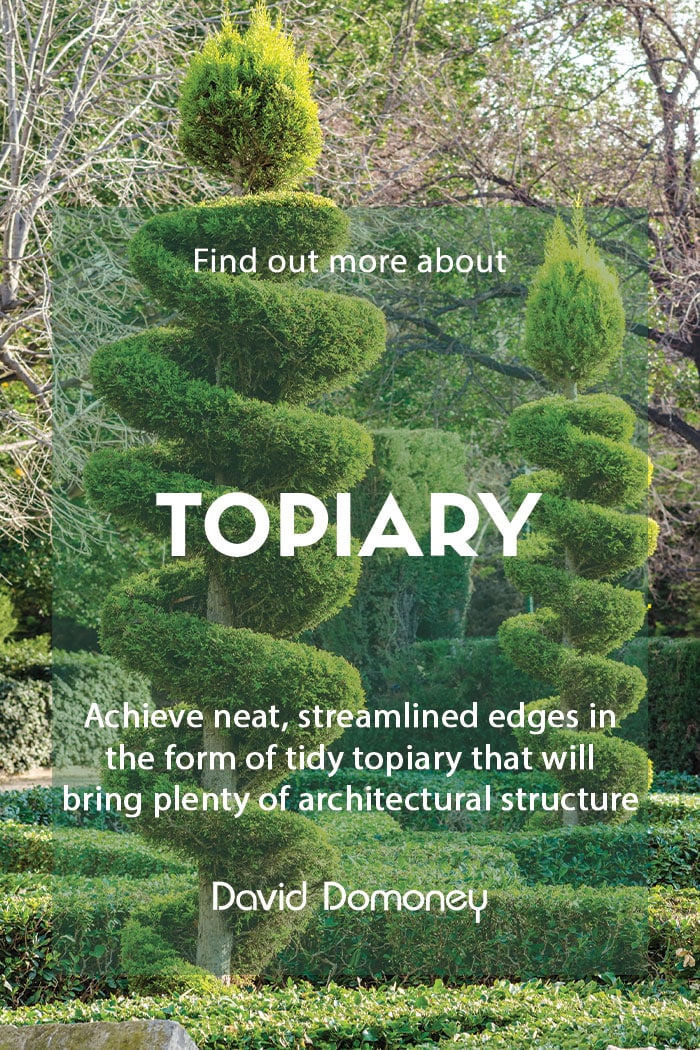 Add structure with topiary in the garden