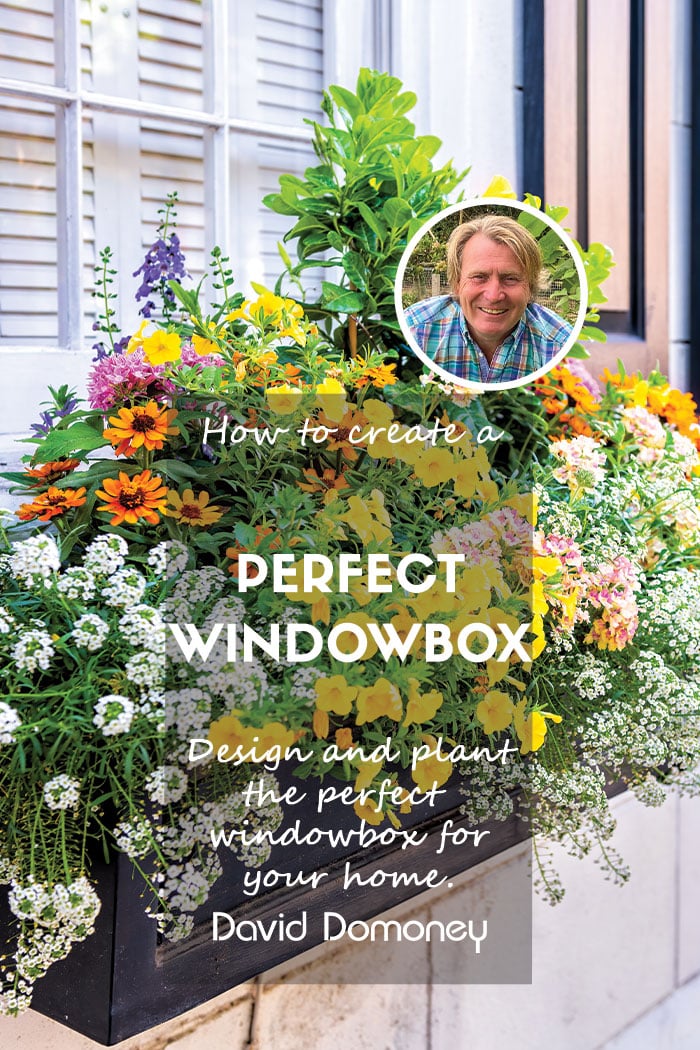 How to create the perfect window box