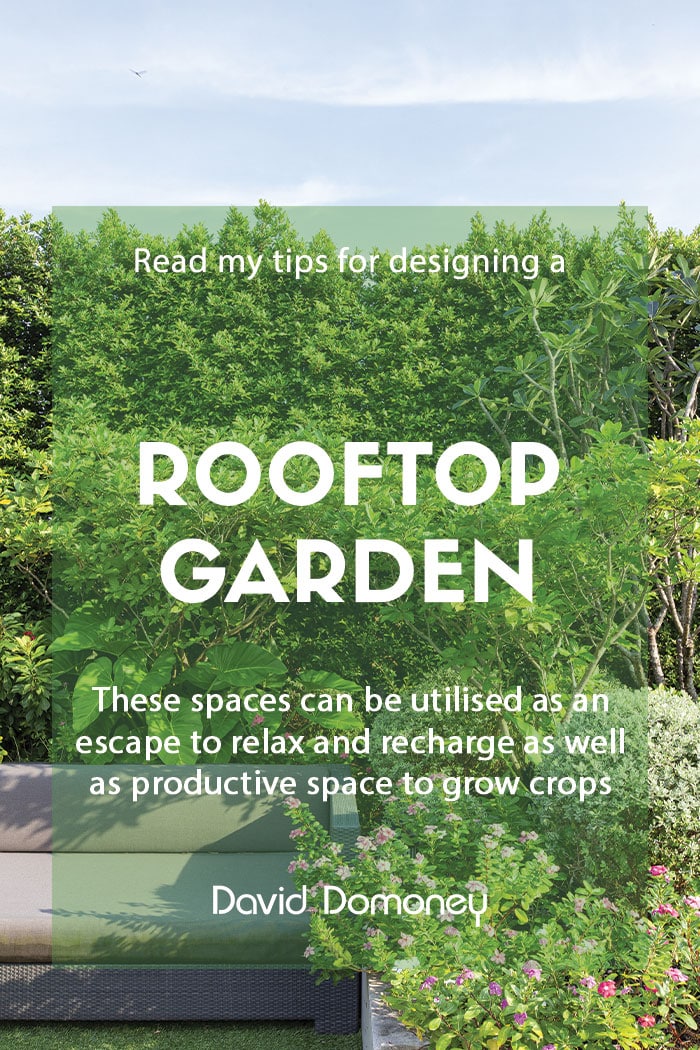 Tips for designing a rooftop garden