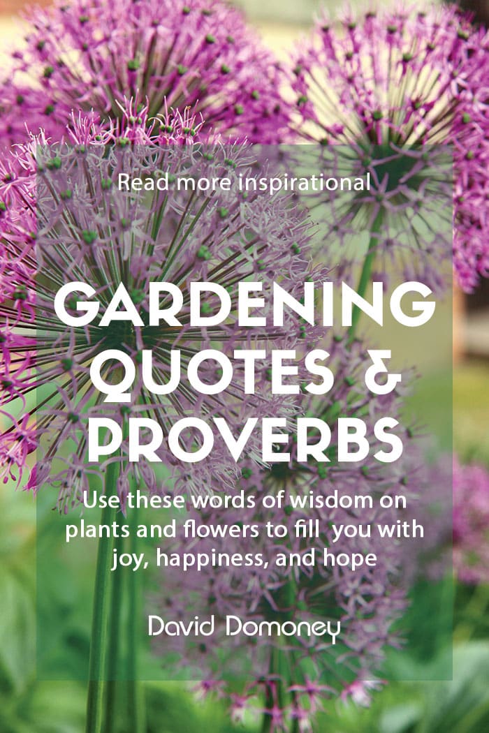 35 more inspirational quotes about flowers and gardens