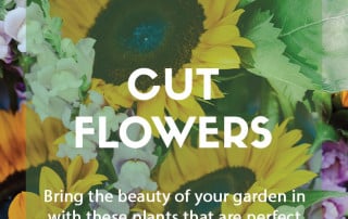 Plants for purpose - Top plants for cut flowers