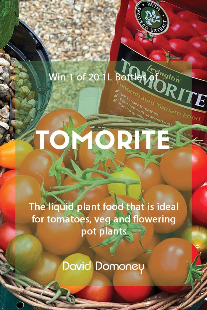 Win 1 of 20 1L bottles of Tomorite Liquid Plant Food