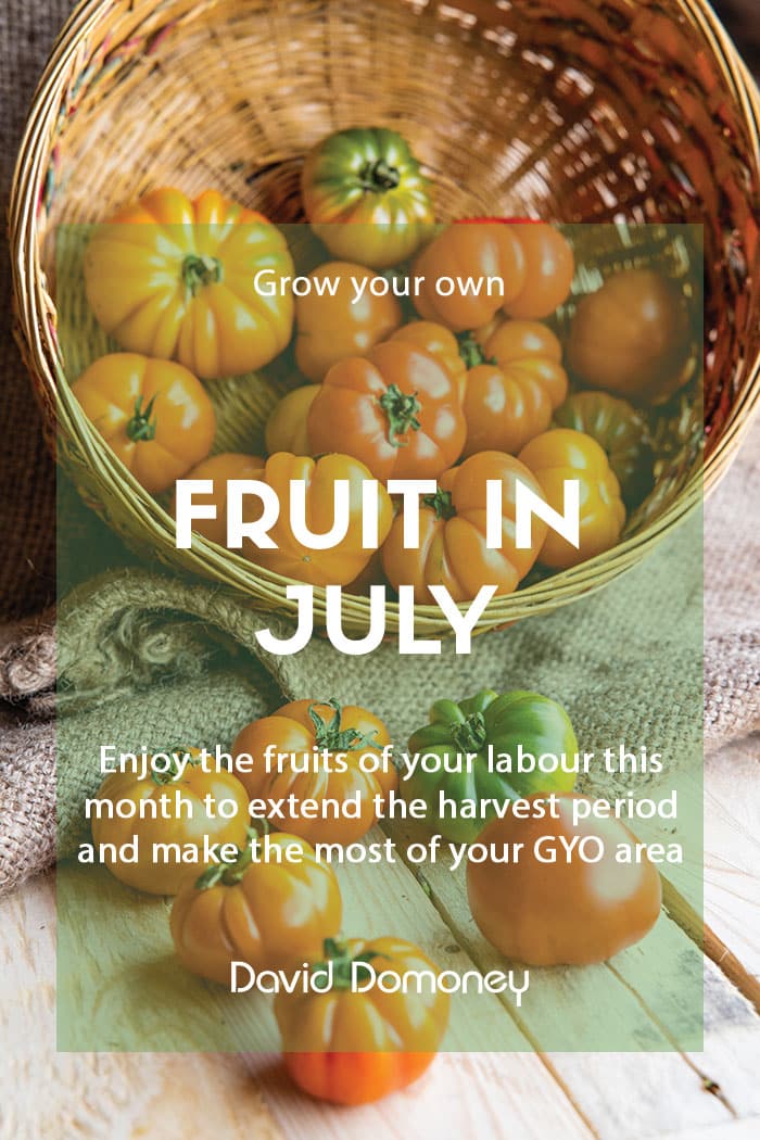 Top grow your own fruit for July