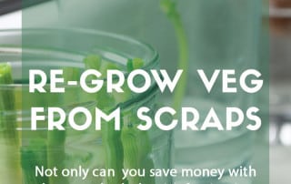 Vegetables to regrow from scraps and leftovers