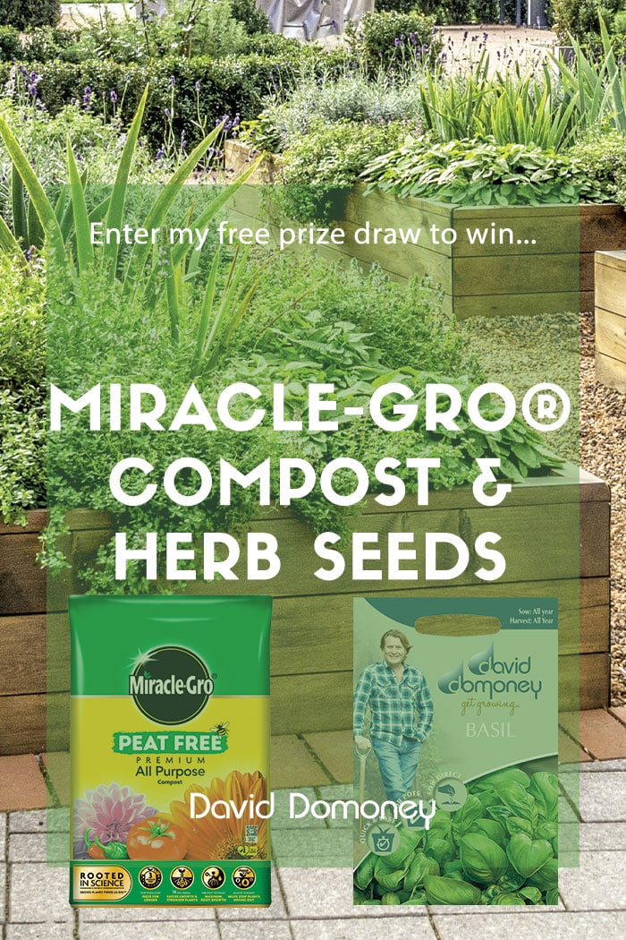 Win a bag of Miracle-Gro® Peat Free Compost and Herb Seeds