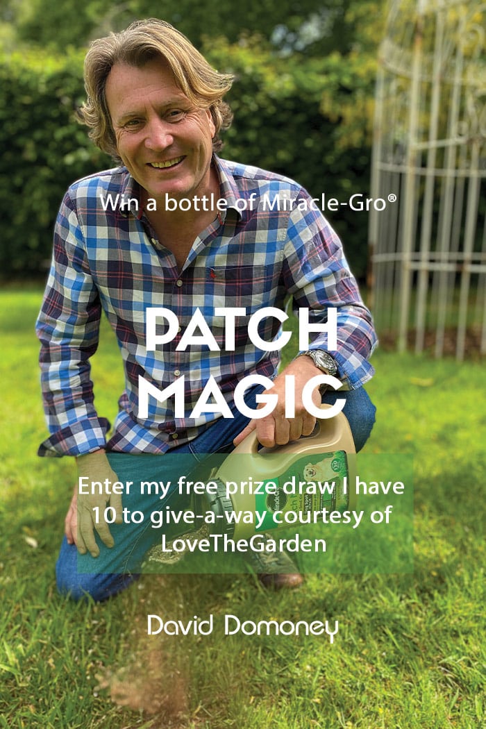 Win A Bottle of Miracle-Gro® Patch Magic