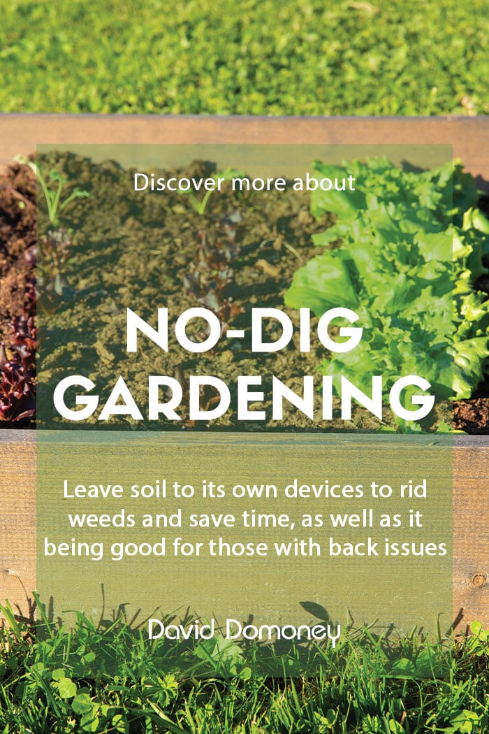 The no-dig gardening method