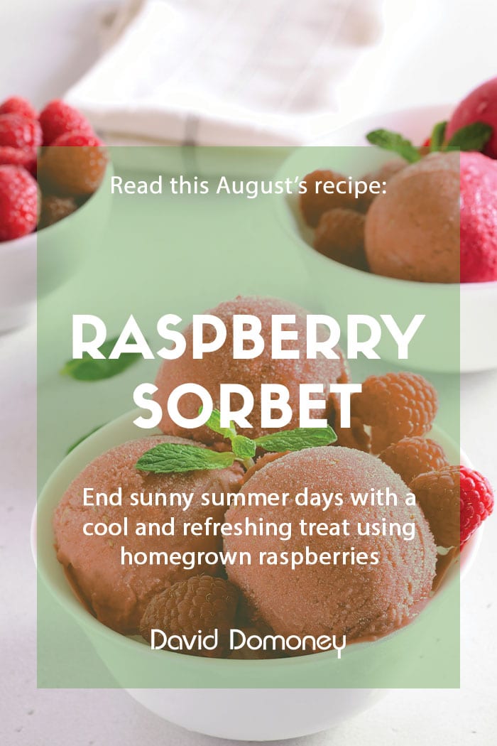 August recipe: Raspberry sorbet