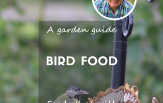 A garden guide to bird food