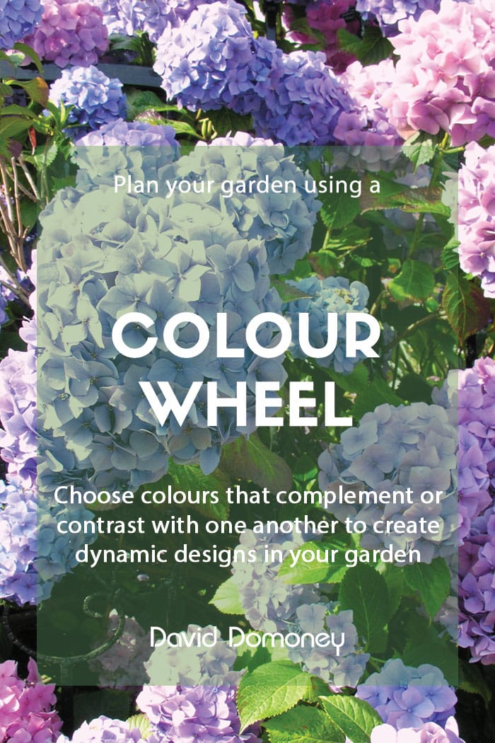 Using a colour wheel to plan your garden borders