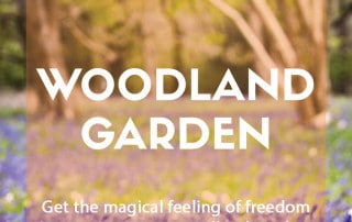 Inspirational ideas for a woodland garden