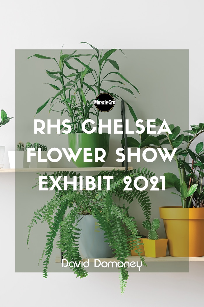 My Houseplant Changed My Life Chelsea Flower Show Exhibit