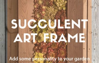 Make your own succulent art frame