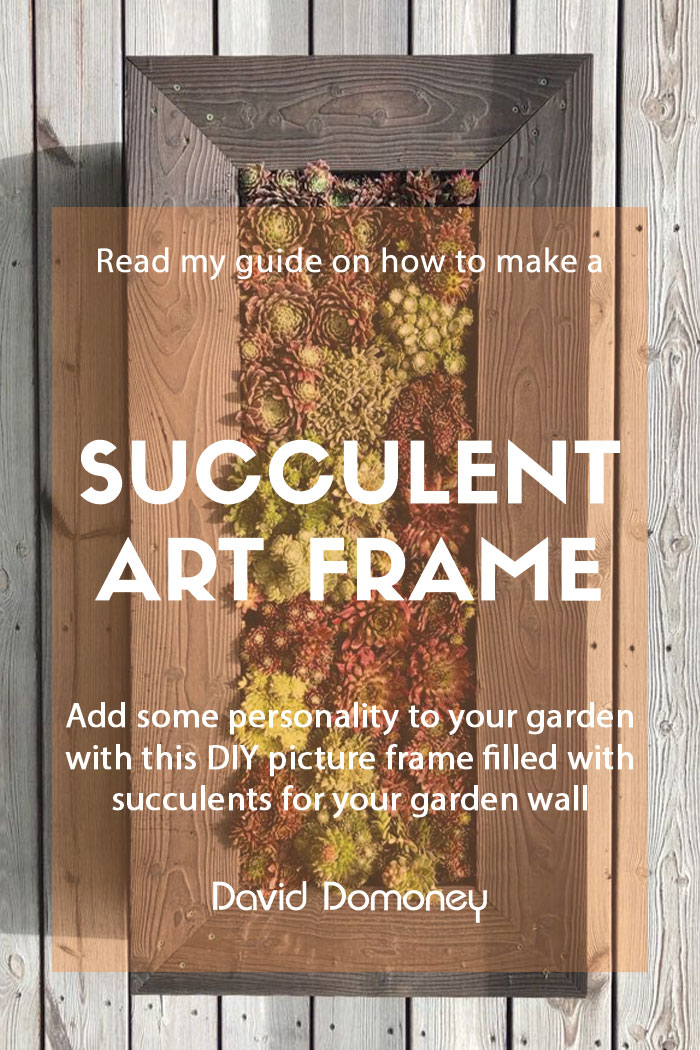 Make your own succulent picture frame art from a wooden pallet