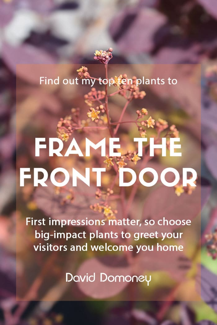 Top ten plants to frame your front door