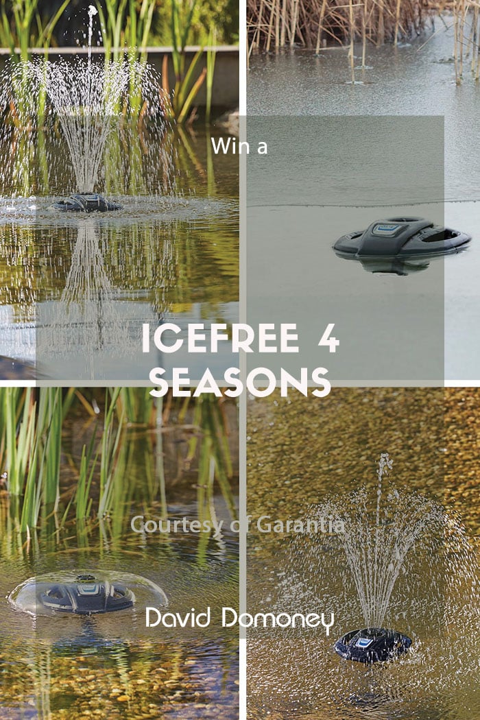 Win an OASE IceFree 4 Seasons