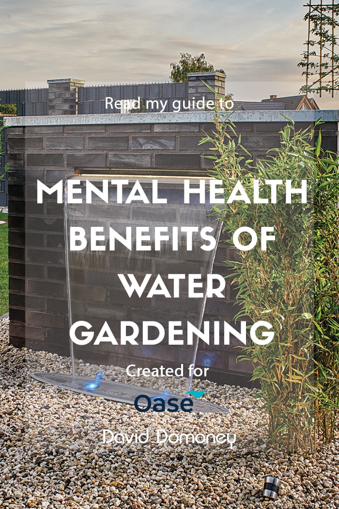 Mental health benefits of water gardening with living water specialists OASE