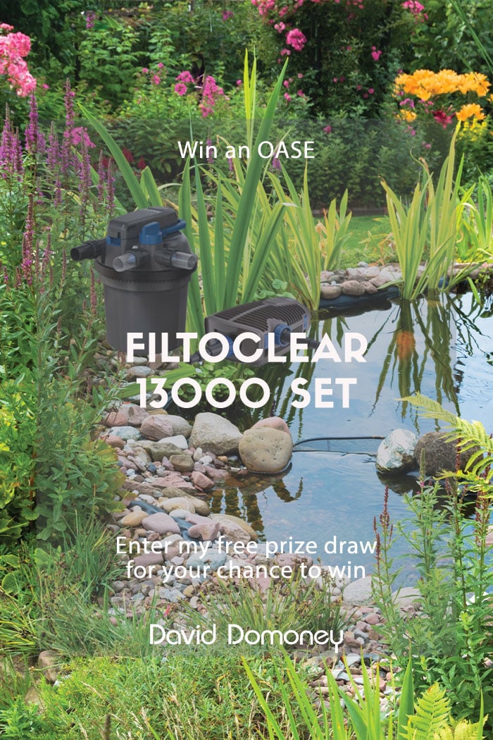 Win an OASE FiltoClear 13000 set