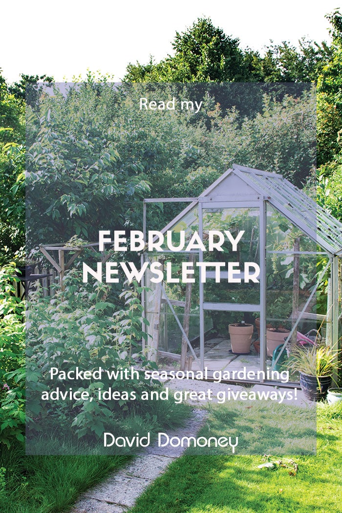 February newsletter