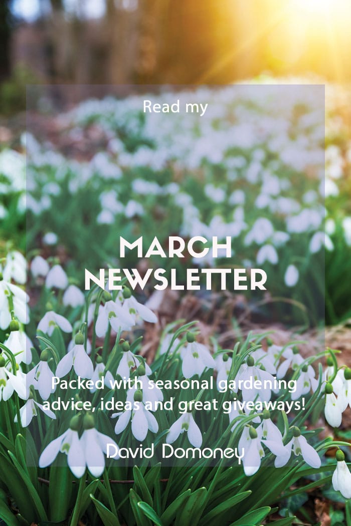 David Domoney’s Newsletter March 2022