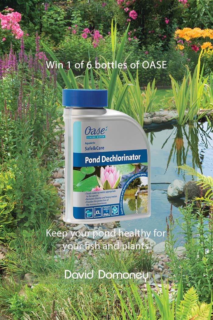 Win OASE Pond Dechlorinator