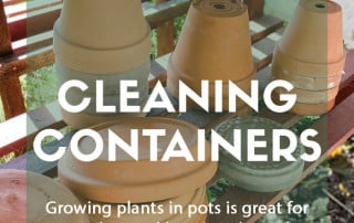 Top job for April Cleaning containers