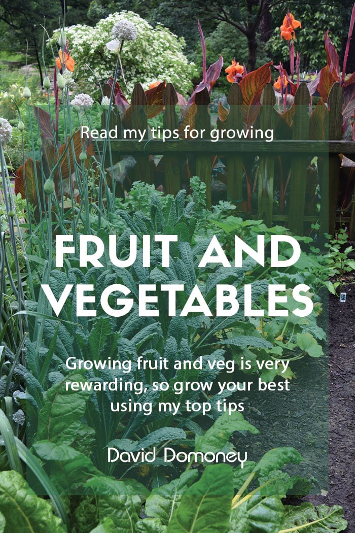 Tips for growing fruit and veg in the garden