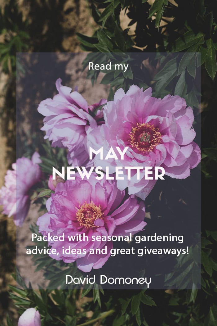 May newsletter 2022 website