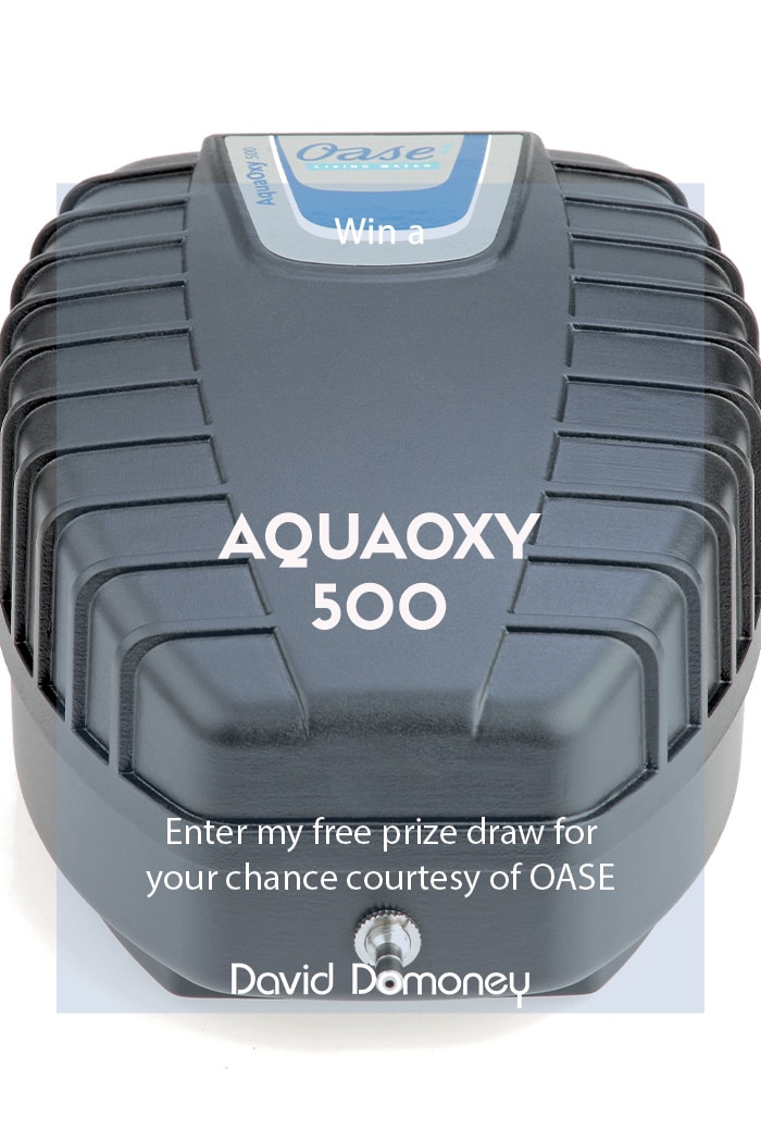 Win an OASE AquaOxy 500