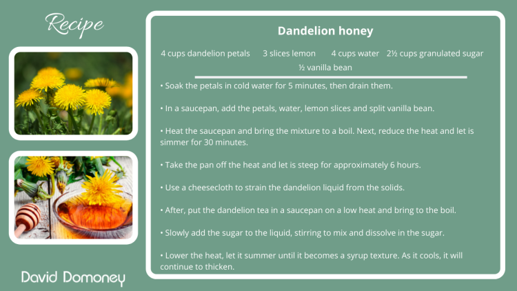 Recipe - Dandelion honey