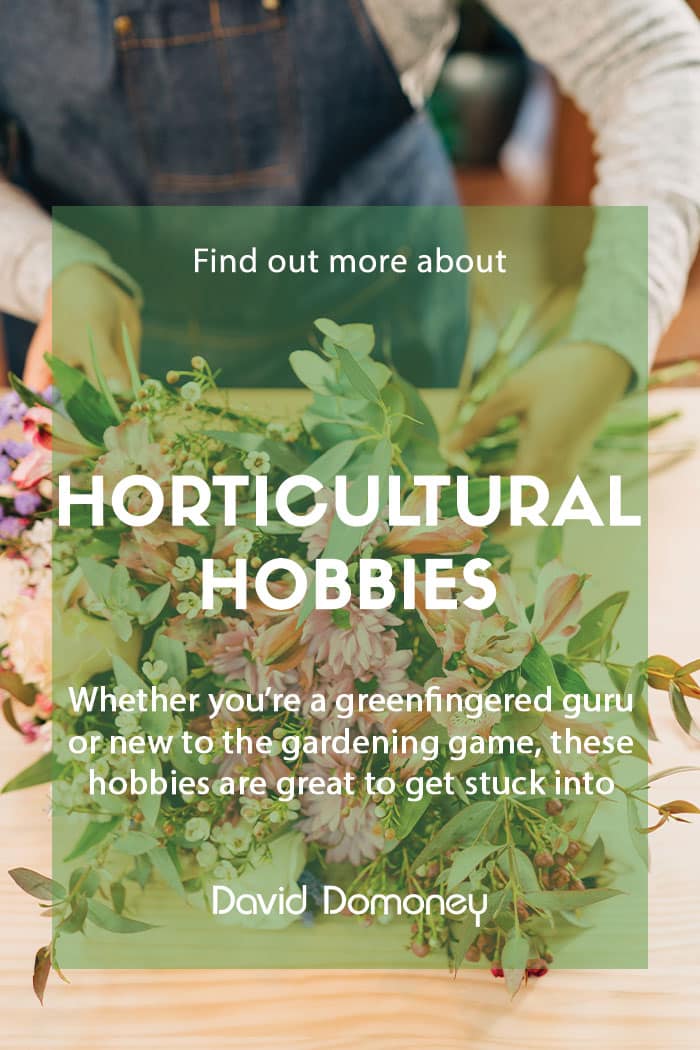 Horticultural hobbies to keep you busy