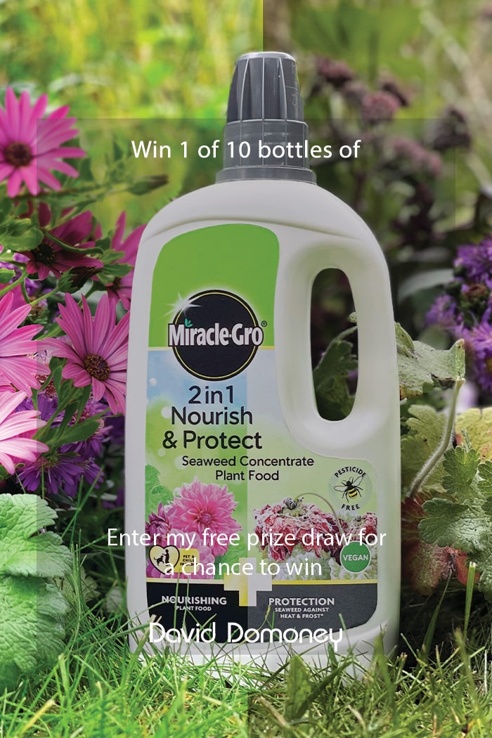 Win Miracle-Gro® 2in1 Nourish & Protect