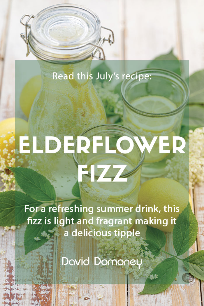 July recipe: Elderflower fizz & elderflower cordial