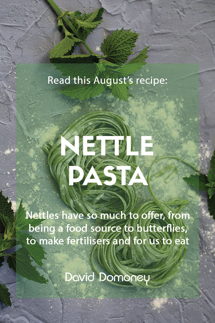 August recipe: Nettle pasta