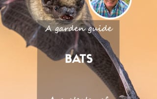 A garden guide to bats