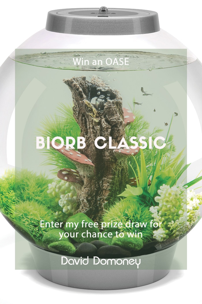 Win an OASE biOrb Classic