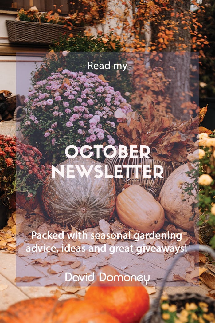 October newsletter