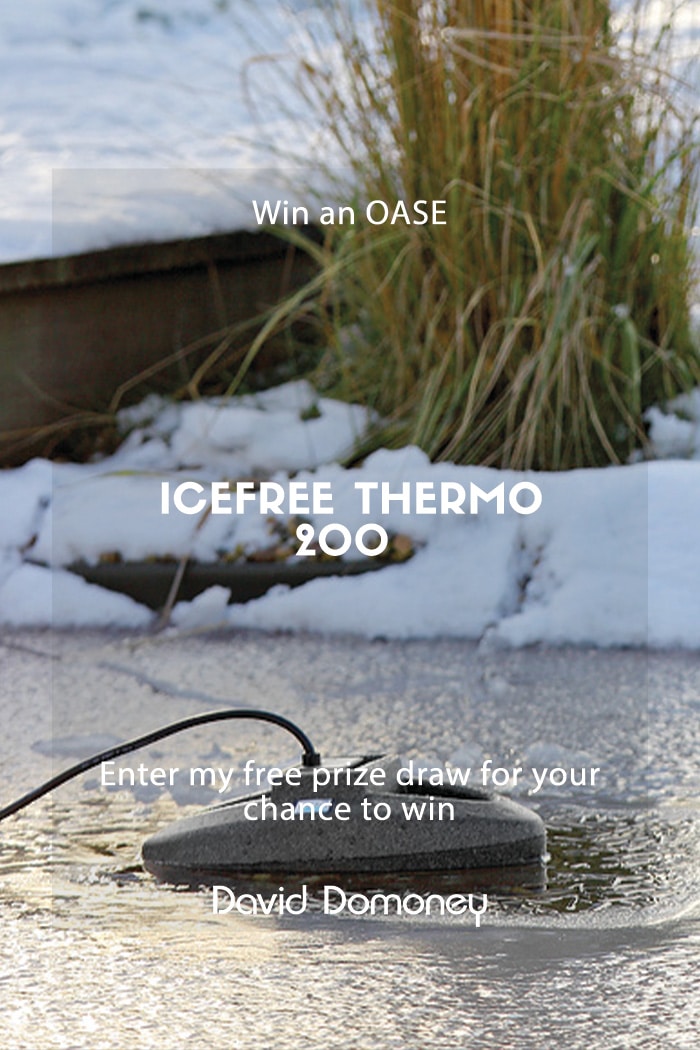 Win an OASE IceFree Thermo 200