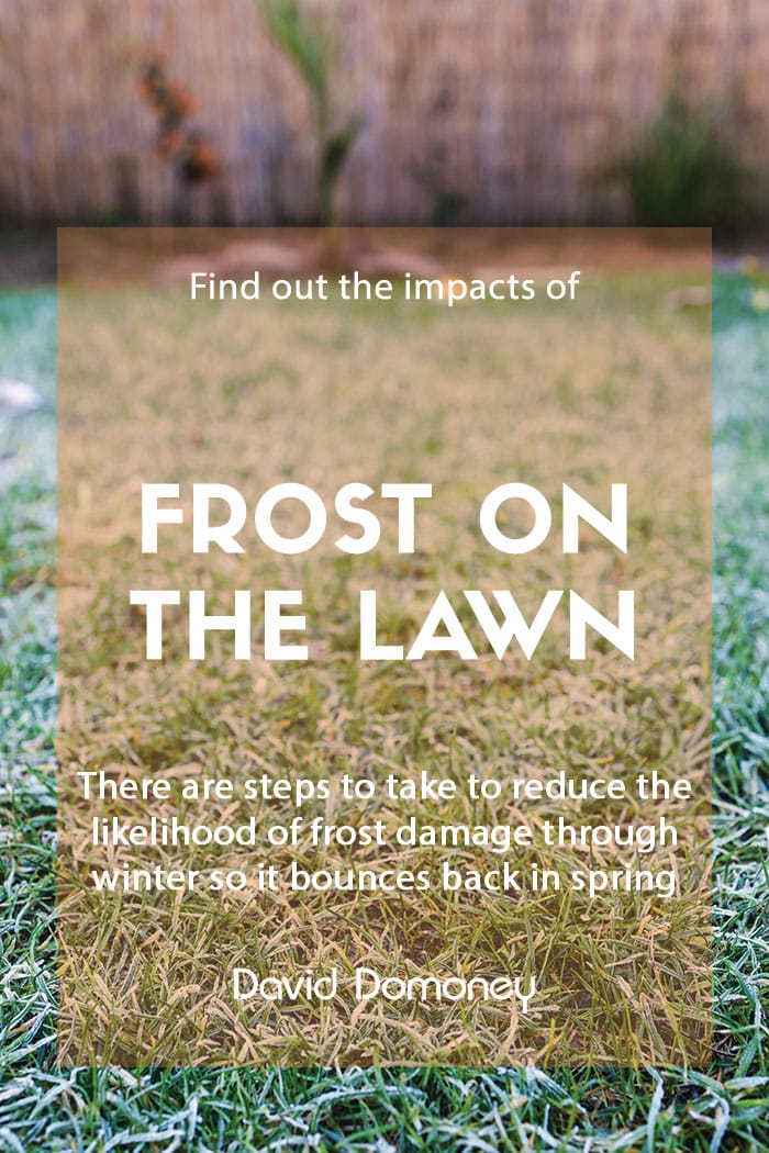 How does frost impact the lawn in the garden?