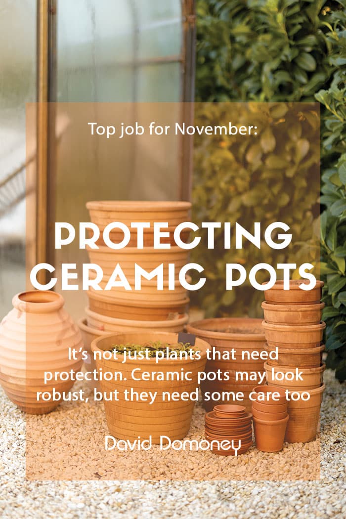 Top job for November: Protecting ceramic pots