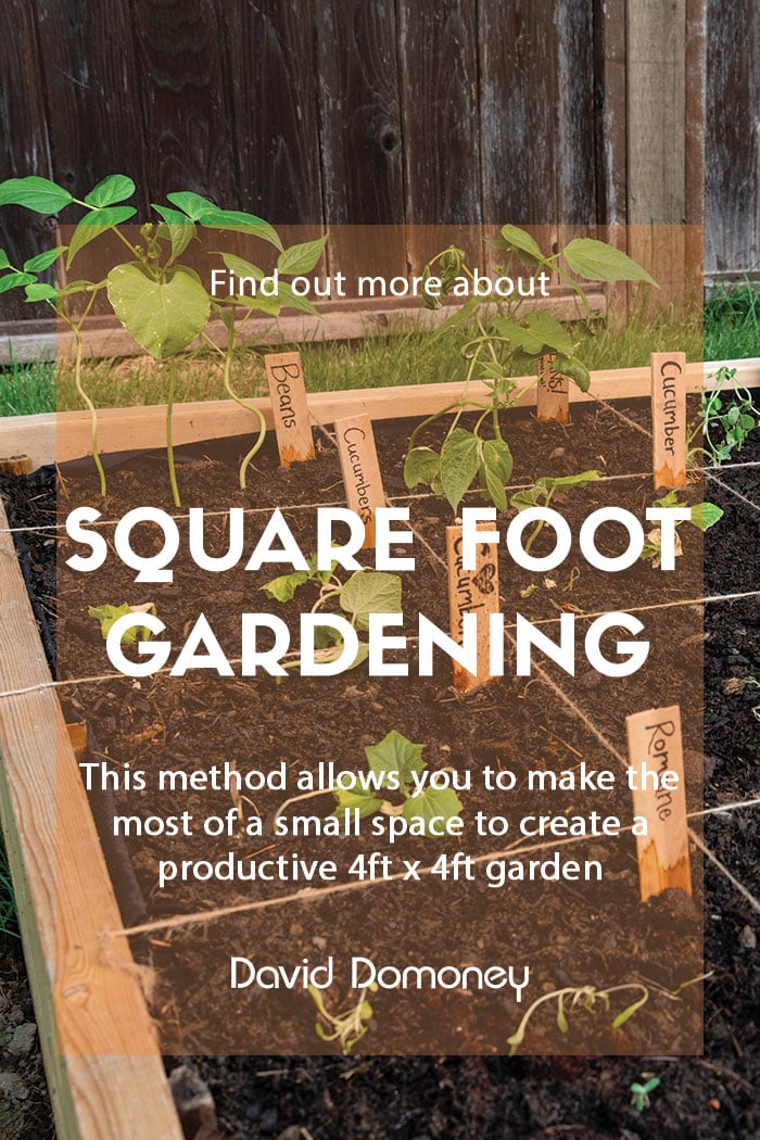 A guide to square foot gardening