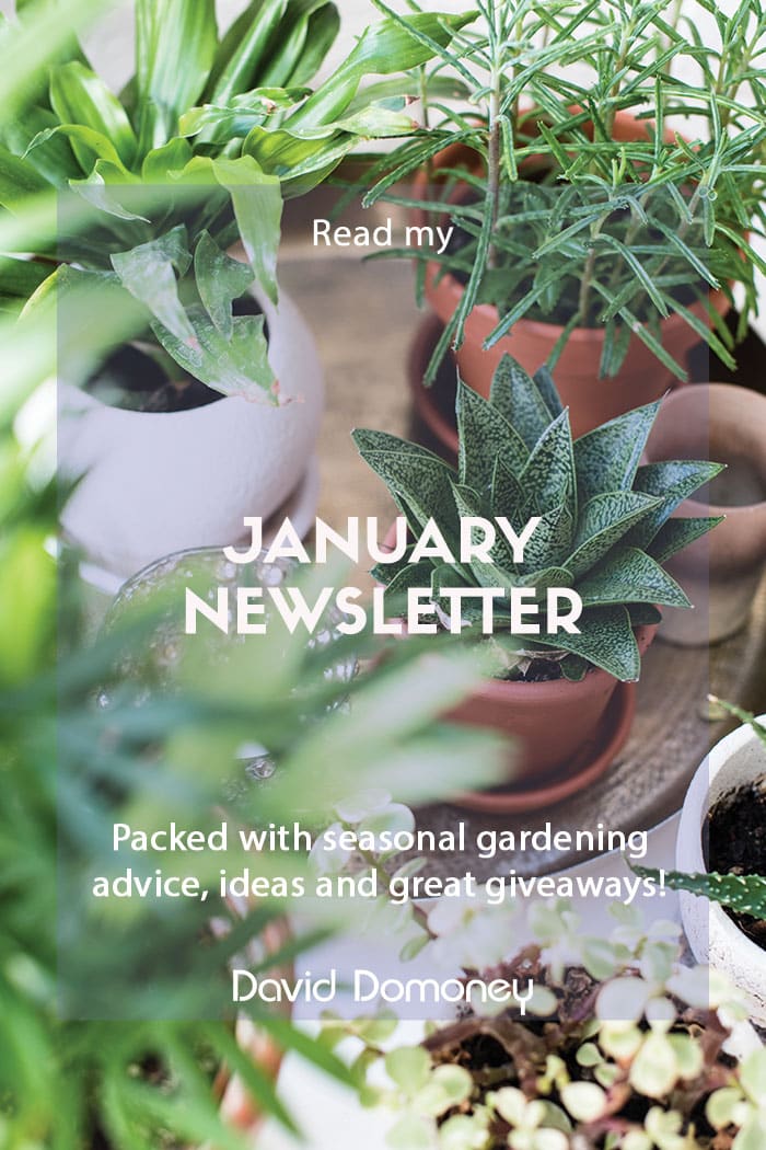 January newsletter