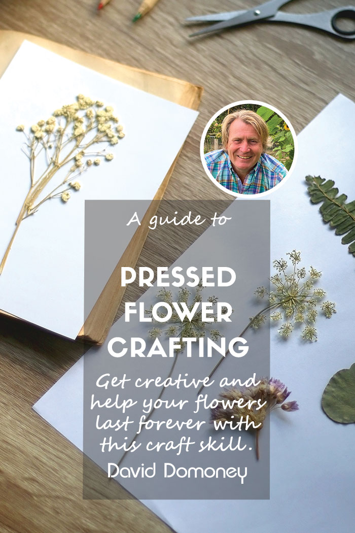 A guide to pressed flower crafting