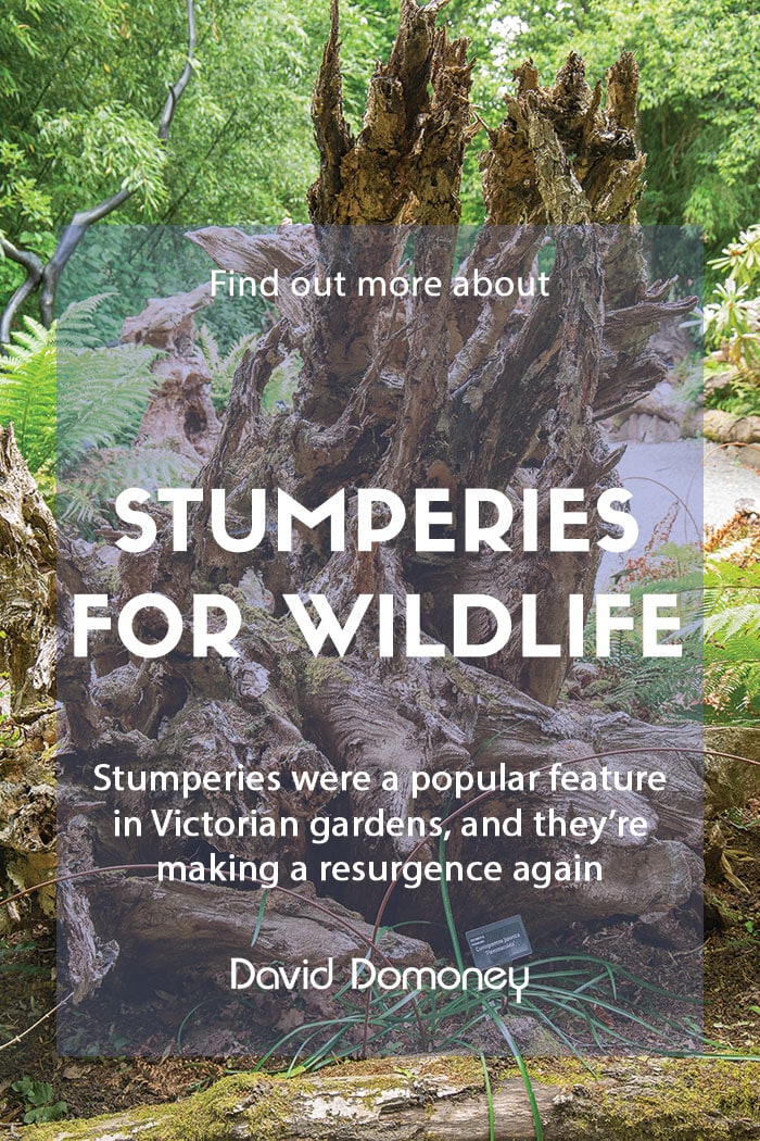 Stumperies for wildlife in the garden