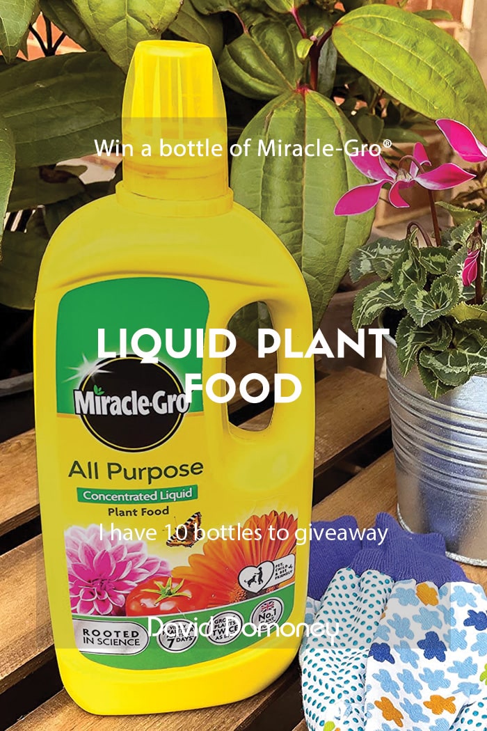 Win 1 of 10 bottles of Miracle-Gro Concentrated Liquid Plant Food