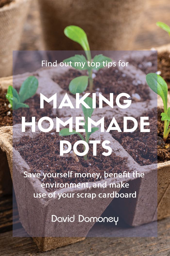 Making homemade plant pots from recycled cardboard and newspaper feature