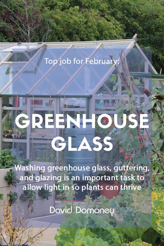 Top job for February: Wash greenhouse glass, guttering and glazing