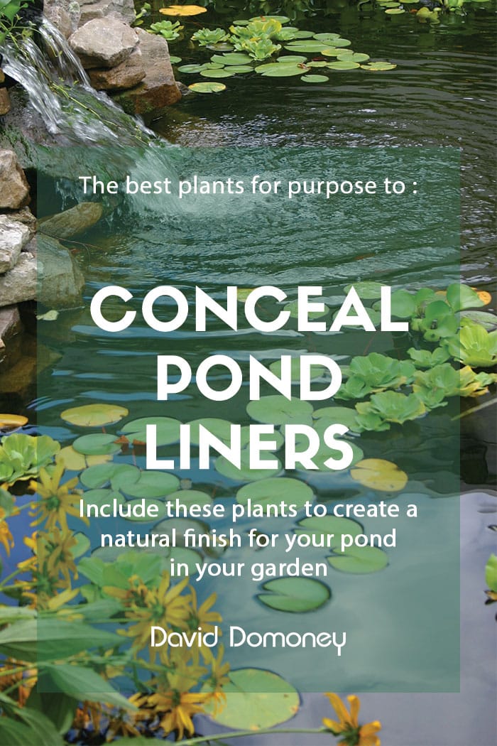 Plants for a purpose – concealing pond liners