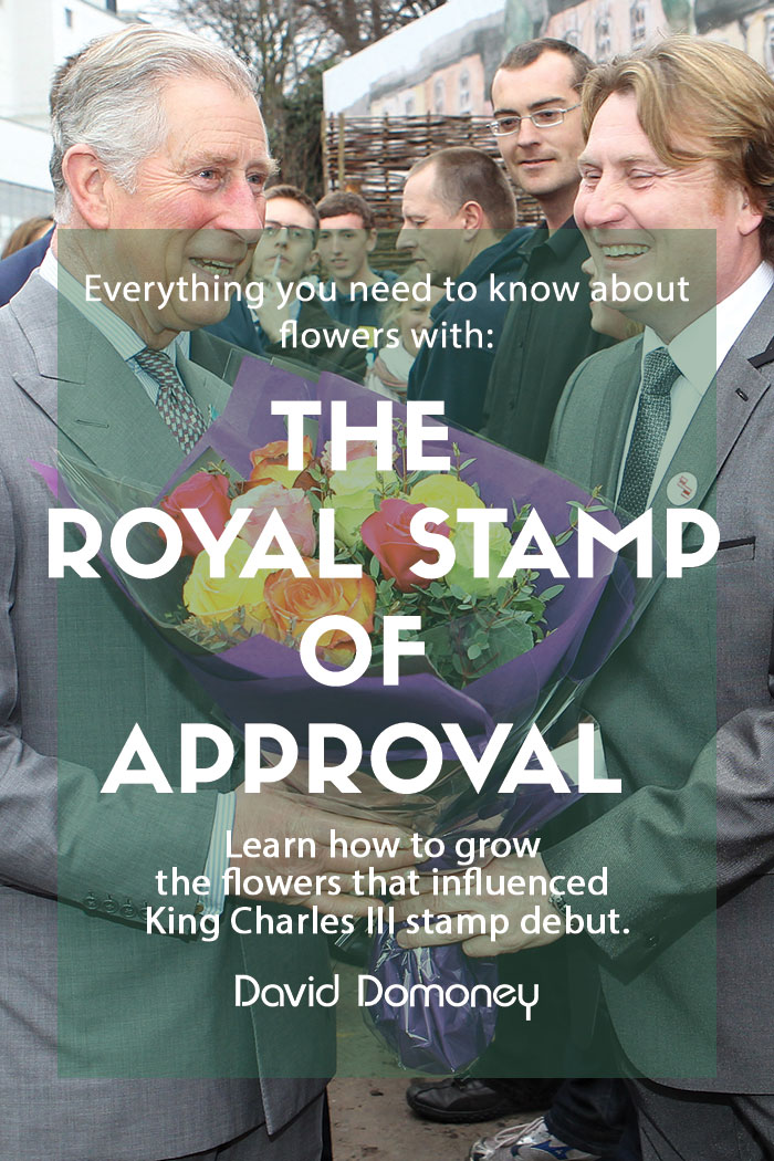 The royal stamp of approval