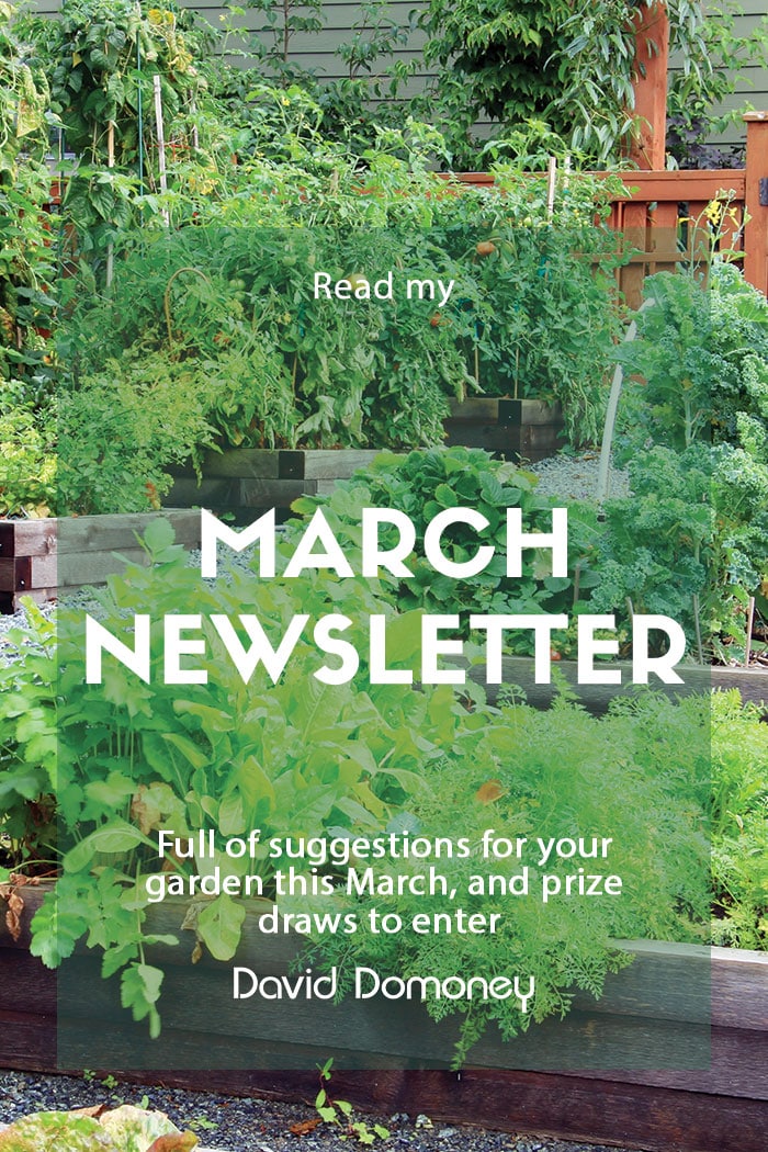 March 2023 Newsletter